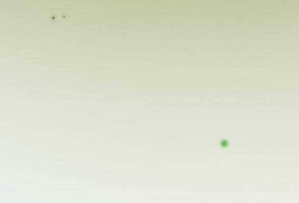 Serena - Chapter 24.1 - Trang 21