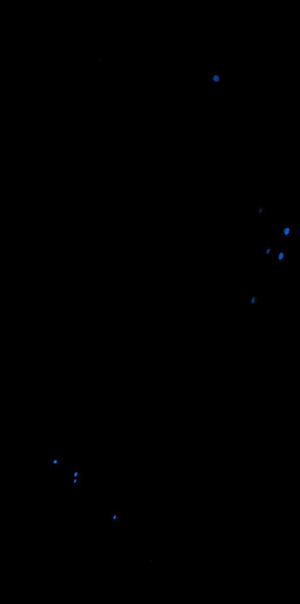 Serena - Chapter 31.2 - Trang 12