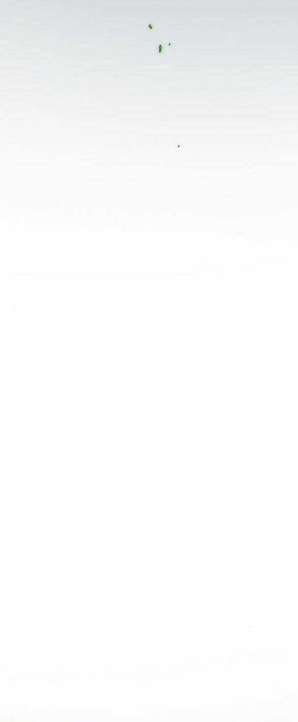 Serena - Chapter 35.1 - Trang 51