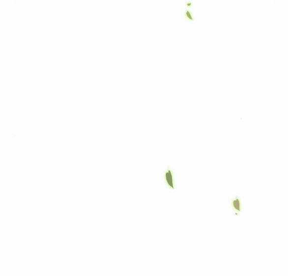 Serena - Chapter 38.1 - Trang 19