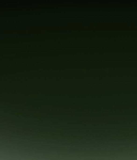 Serena - Chapter 41.2 - Trang 8