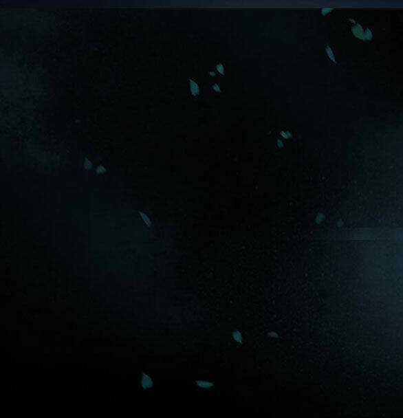 Serena - Chapter 42.1 - Trang 75