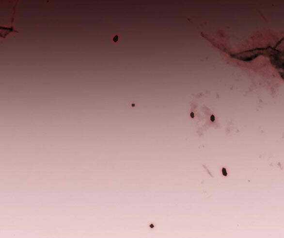 Serena - Chapter 43.2 - Trang 17