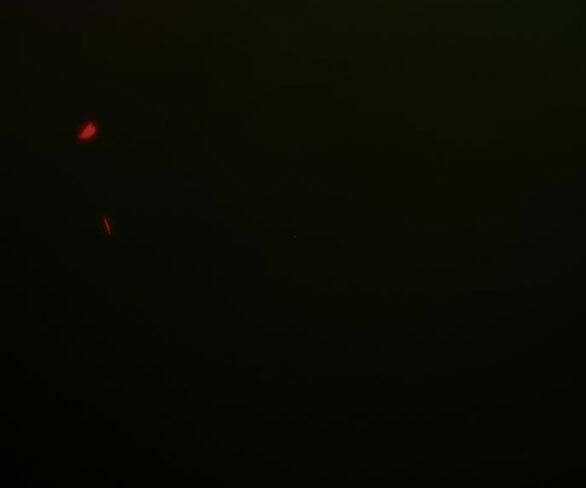 Serena - Chapter 43.2 - Trang 59