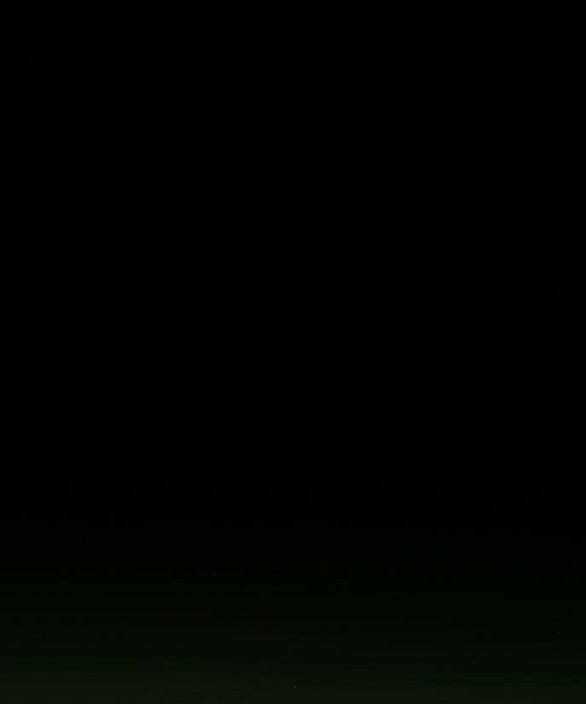 Serena - Chapter 44.1 - Trang 24