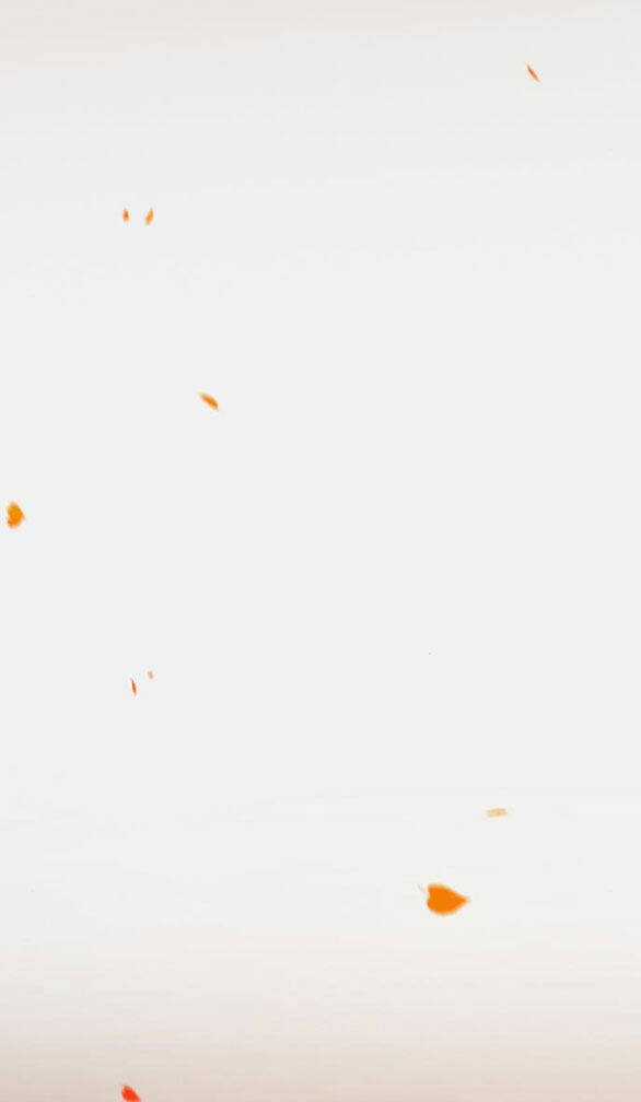 Serena - Chapter 45.2 - Trang 16