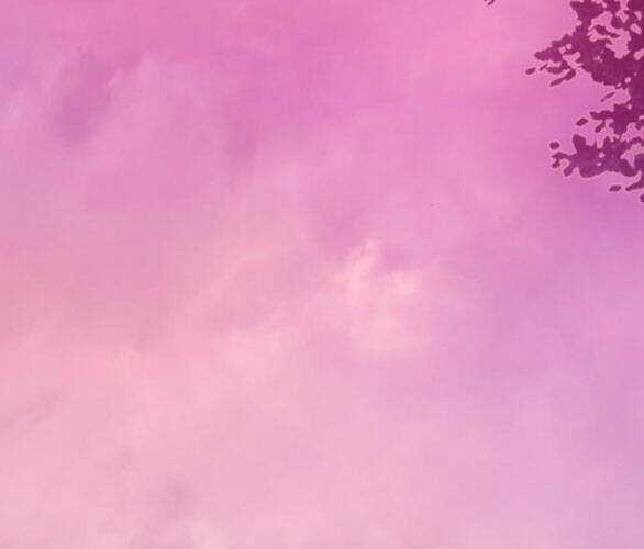 Serena - Chapter 47.2 - Trang 44