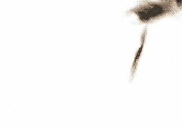 Serena - Chapter 48.2 - Trang 62