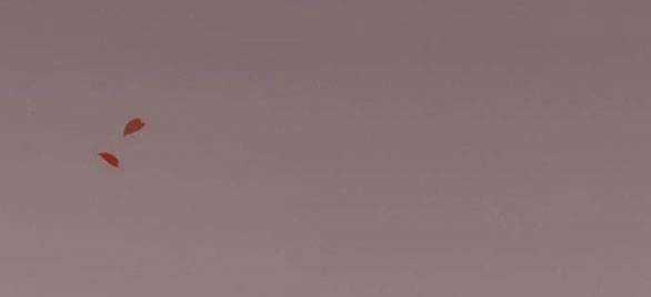 Serena - Chapter 49.2 - Trang 21