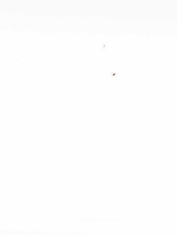 Serena - Chapter 51.1 - Trang 109