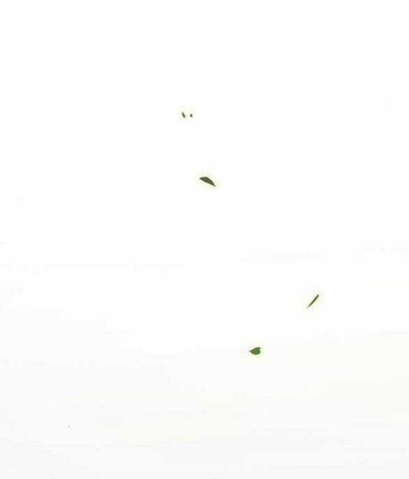 Serena - Chapter 52.2 - Trang 32