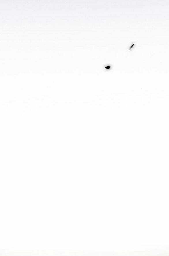 Serena - Chapter 55.2 - Trang 27