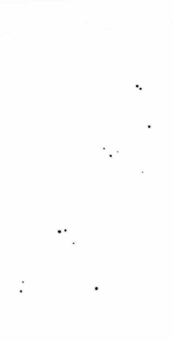 Serena - Chapter 71.2 - Trang 22