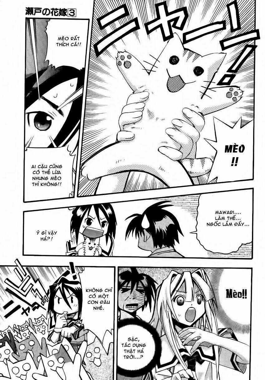 Seto no Hanayome - Chapter 11 - Trang 17