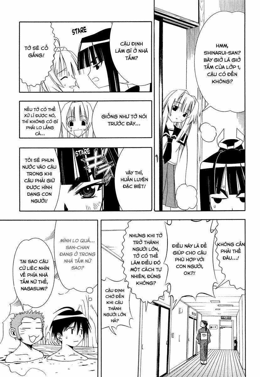 Seto no Hanayome - Chapter 27 - Trang 17