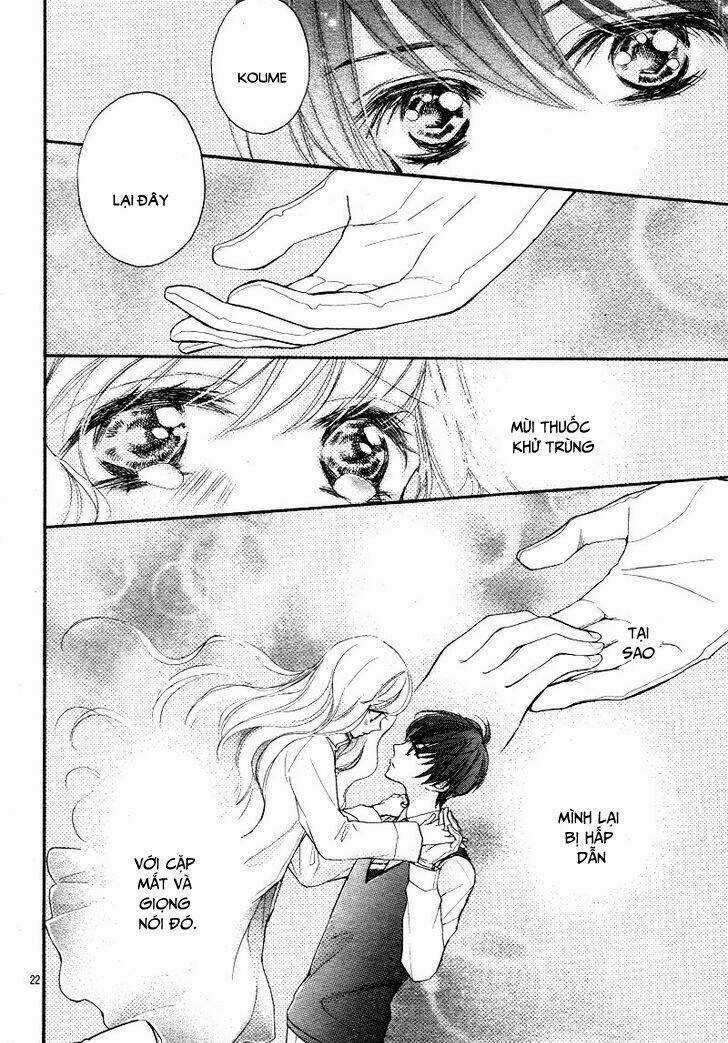 Share Kiss Love - Chapter 1 - Trang 24