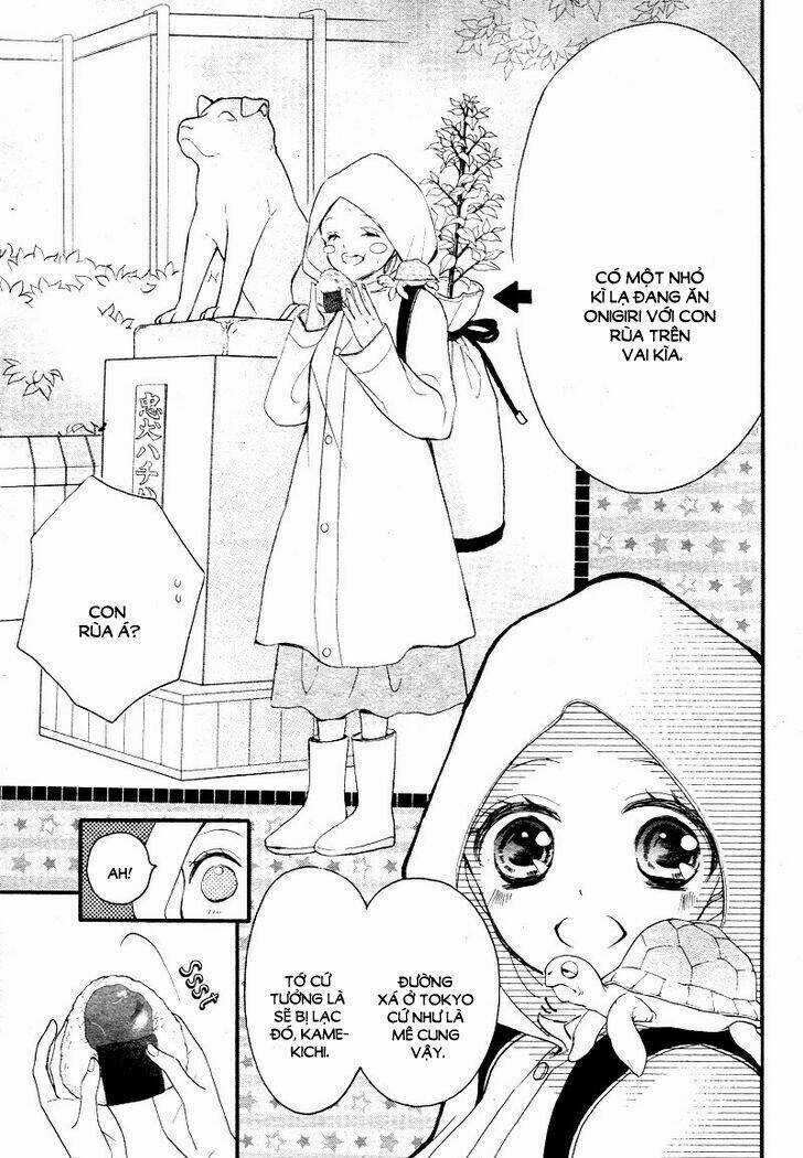 Share Kiss Love - Chapter 1 - Trang 5