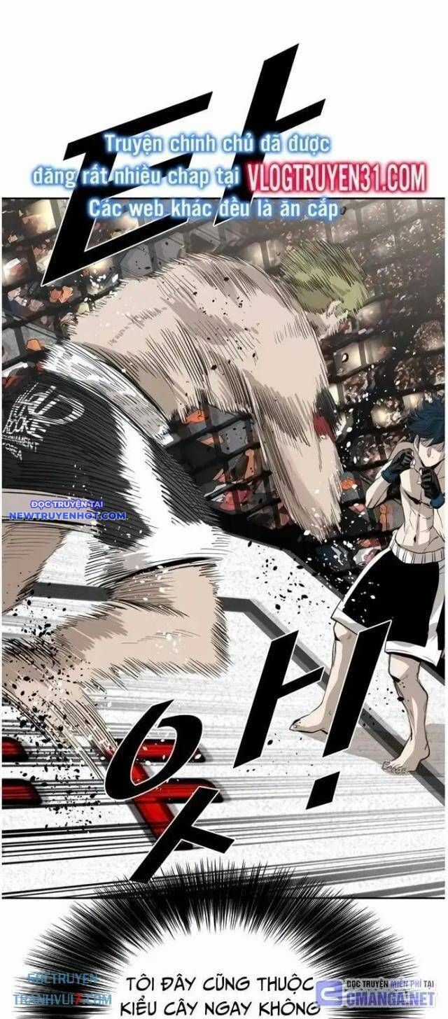 Shark - Cá Mập - Chương 144 - Trang 12