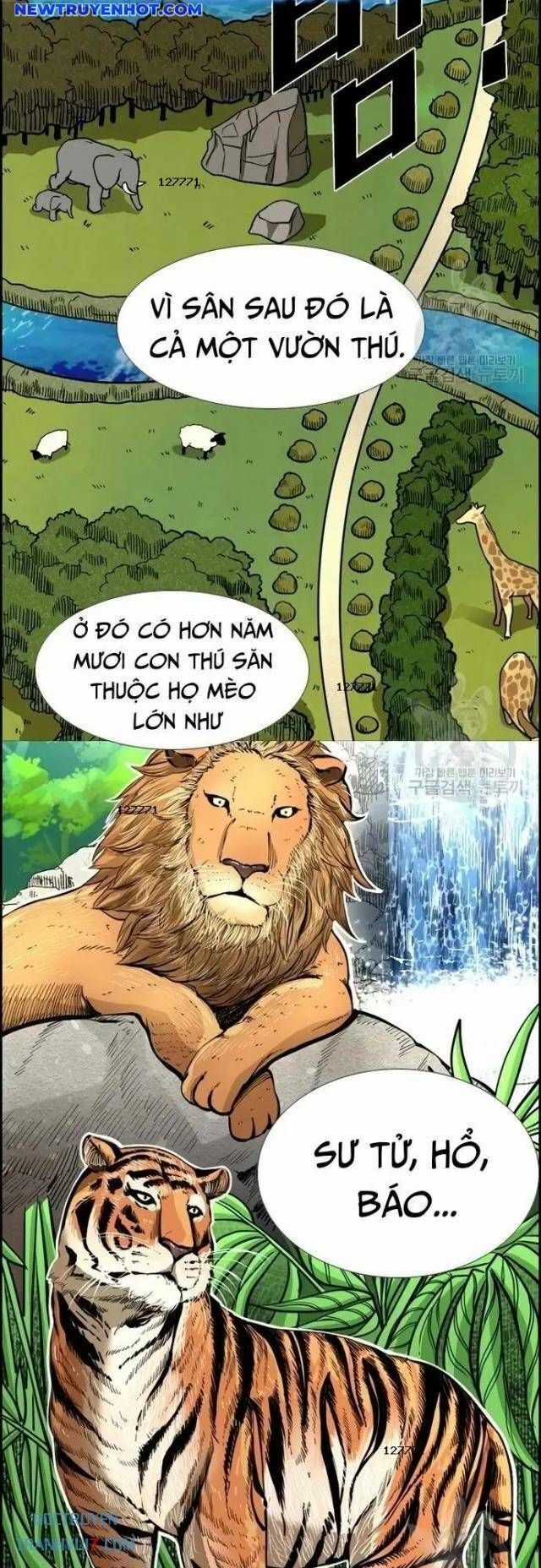 Shark - Cá Mập - Chương 222 - Trang 10