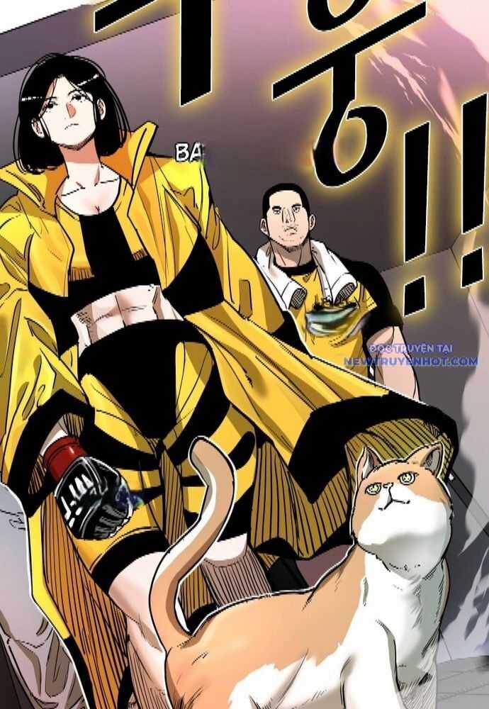 Shark - Cá Mập - Chương 332 - Trang 23