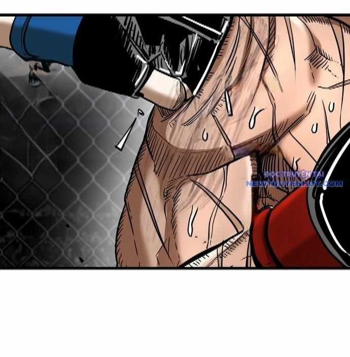 Shark - Cá Mập - Chương 338 - Trang 14