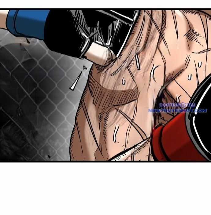 Shark - Cá Mập - Chương 339 - Trang 15