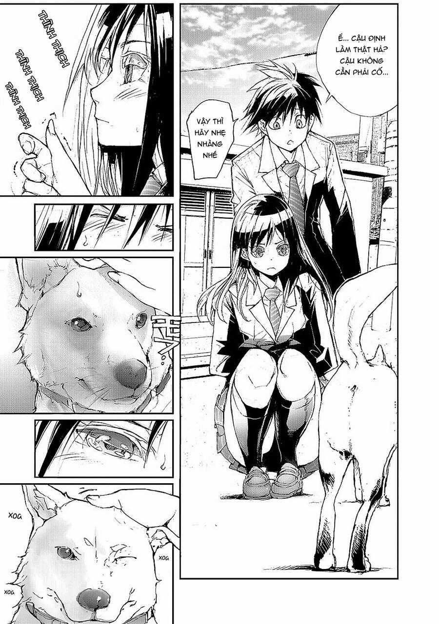 Shed! Ryugasaki-San - Chapter 52 - Trang 5