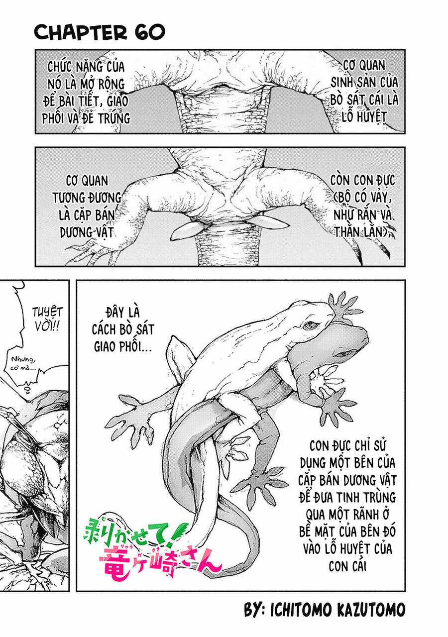 Shed! Ryugasaki-San - Chapter 60 - Trang 3