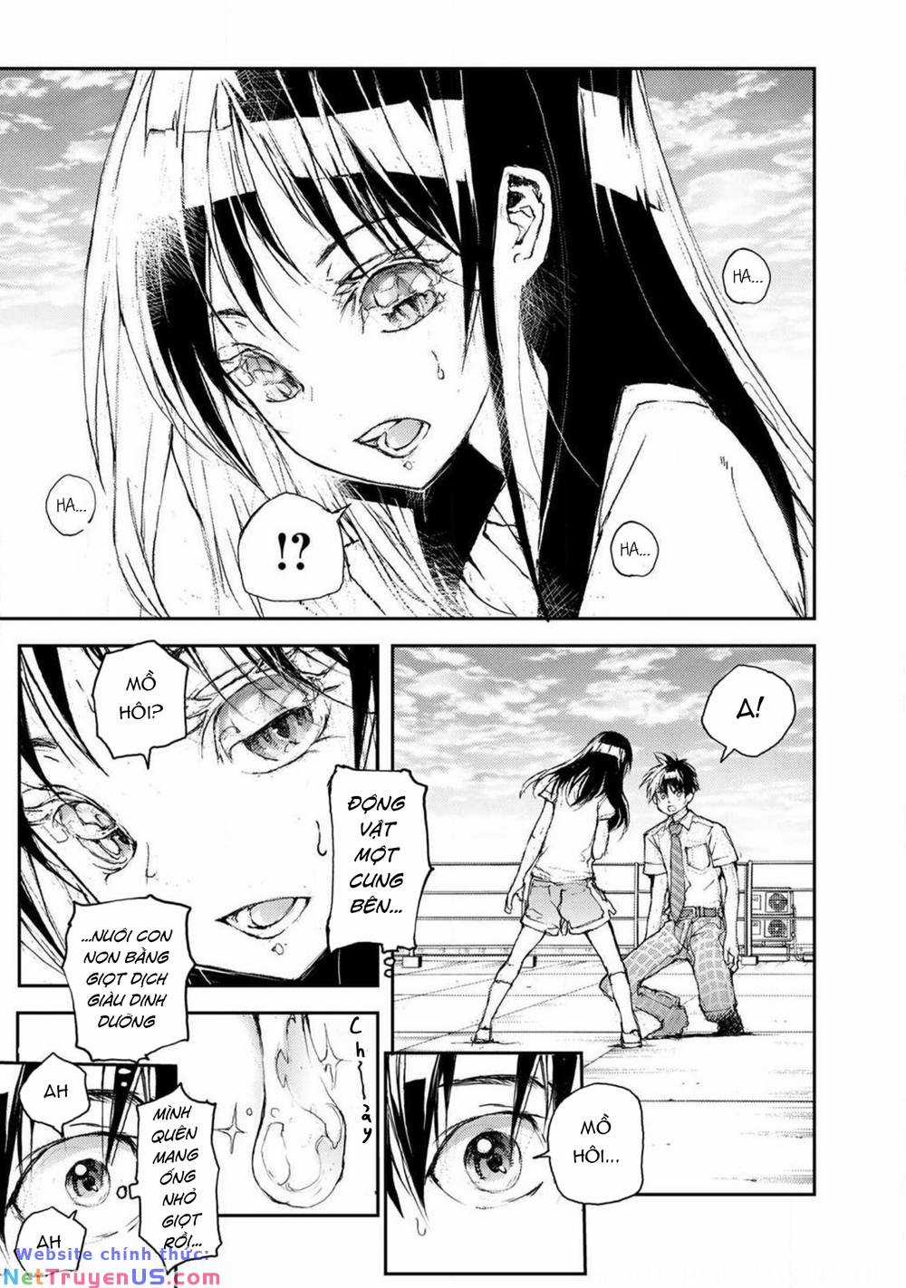 Shed! Ryugasaki-San - Chapter 74 - Trang 5