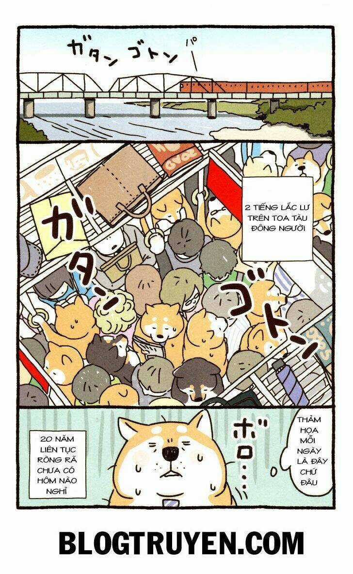 Shiba Occhan - Chapter 1 - Trang 2
