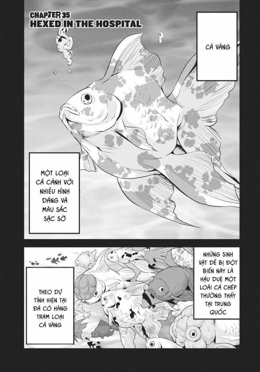 Shibuya Kingyo - Chapter 35 - Trang 2