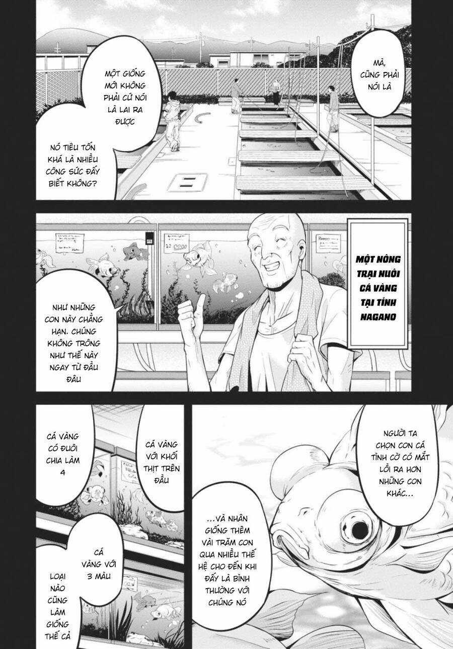 Shibuya Kingyo - Chapter 35 - Trang 3