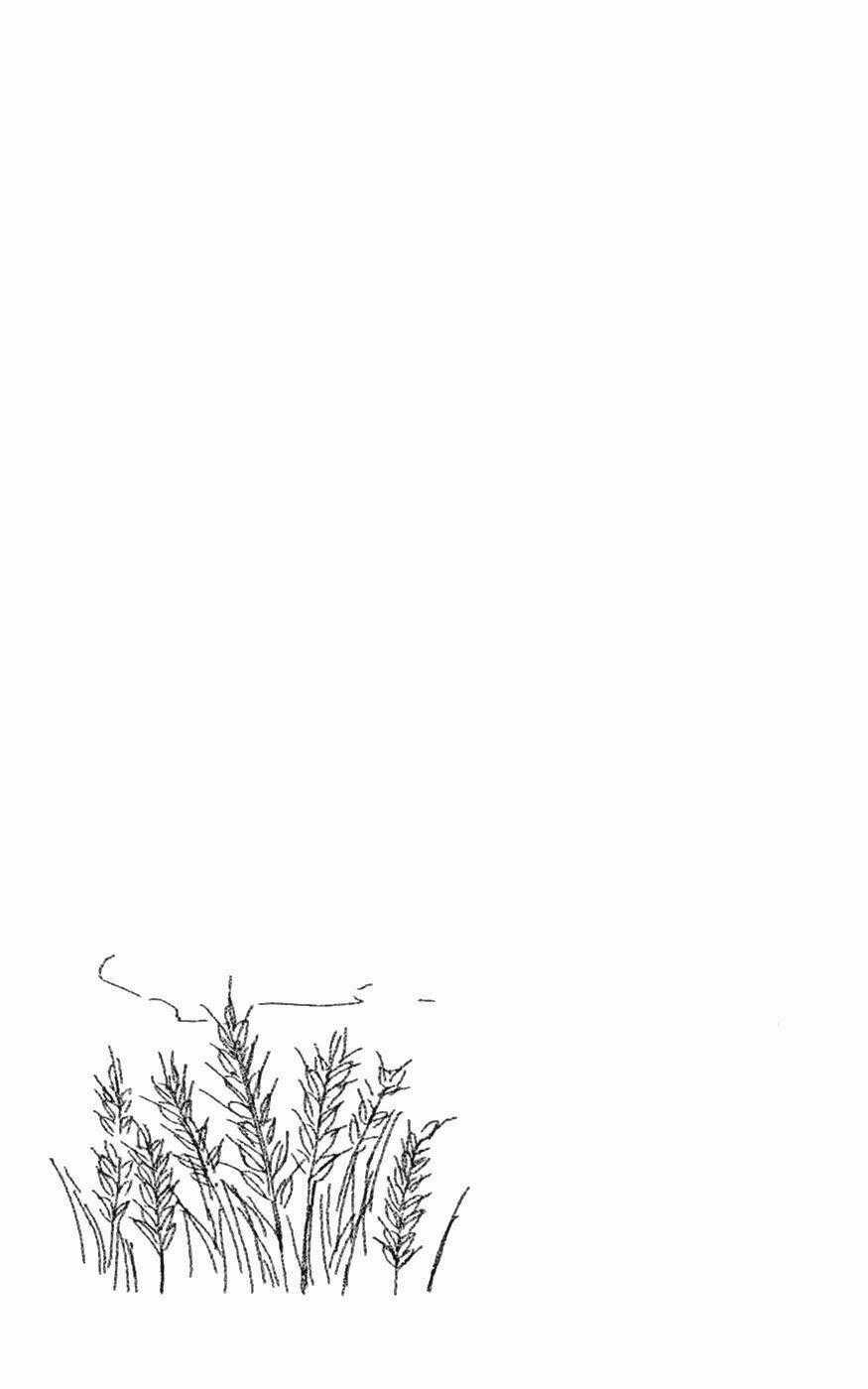 Shiki No Zenjitsu - Chapter 5 - Trang 32