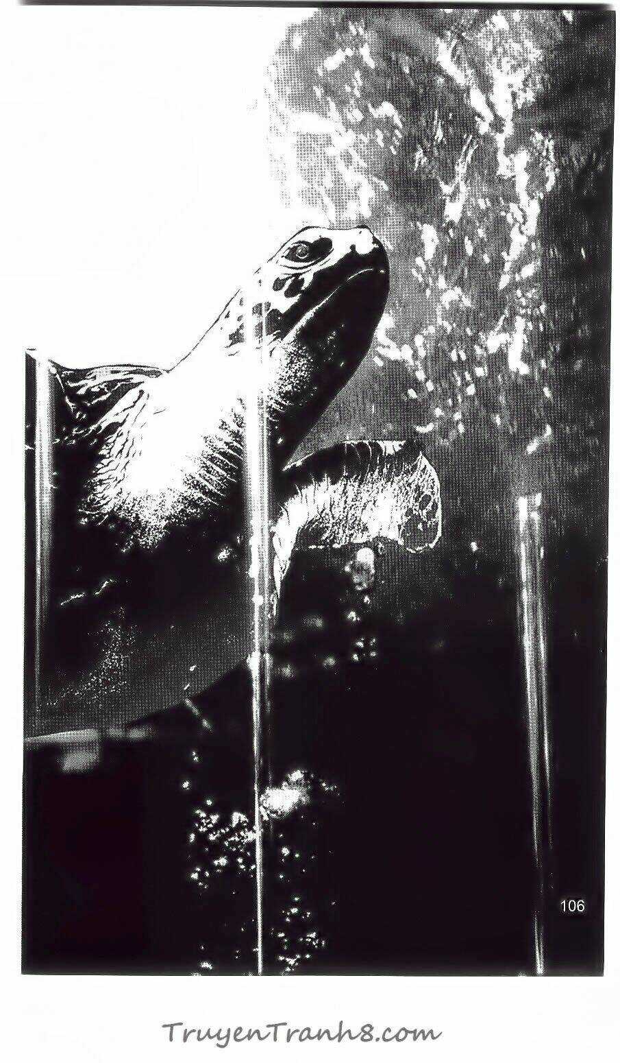 Shiki - Chapter 29 - Trang 9