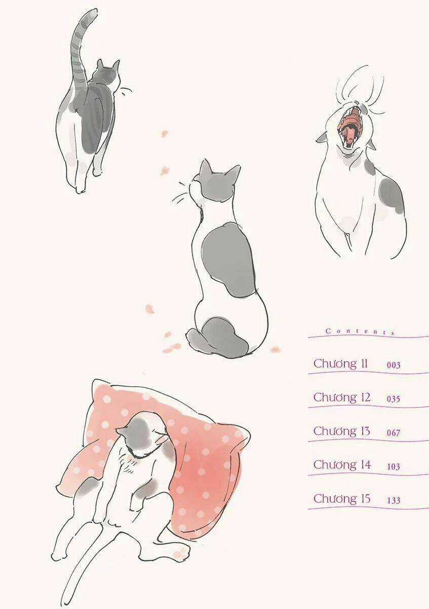 Shimanami Tasogare - Chapter 11 - Trang 5