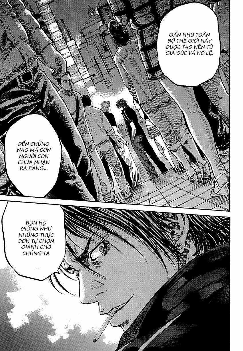 Shimauma - Chapter 1 - Trang 18