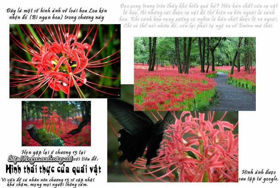 Shini Itaru Yamai - Chapter 14 - Trang 21