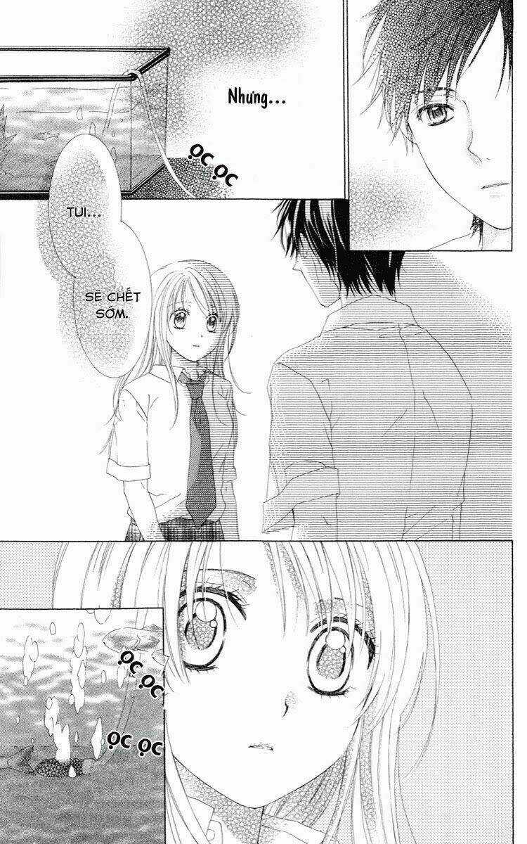 Shinigami no Ballad - Chapter 2 - Trang 31