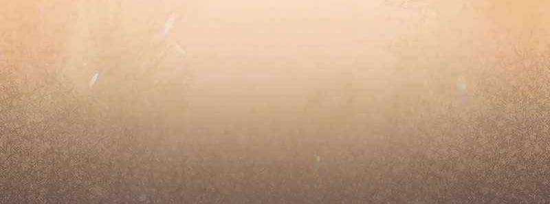 Shipper Đến Từ Murim - Chapter 50 - Trang 167