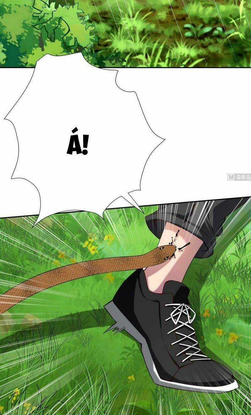 Shipper Thần Cấp - Chapter 51 - Trang 4