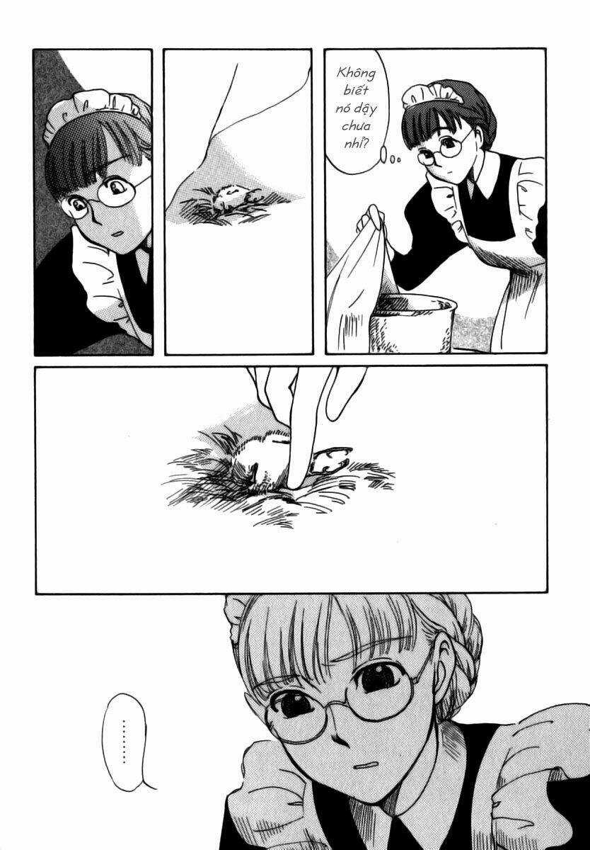 Shirley - Chapter 6 - Trang 27