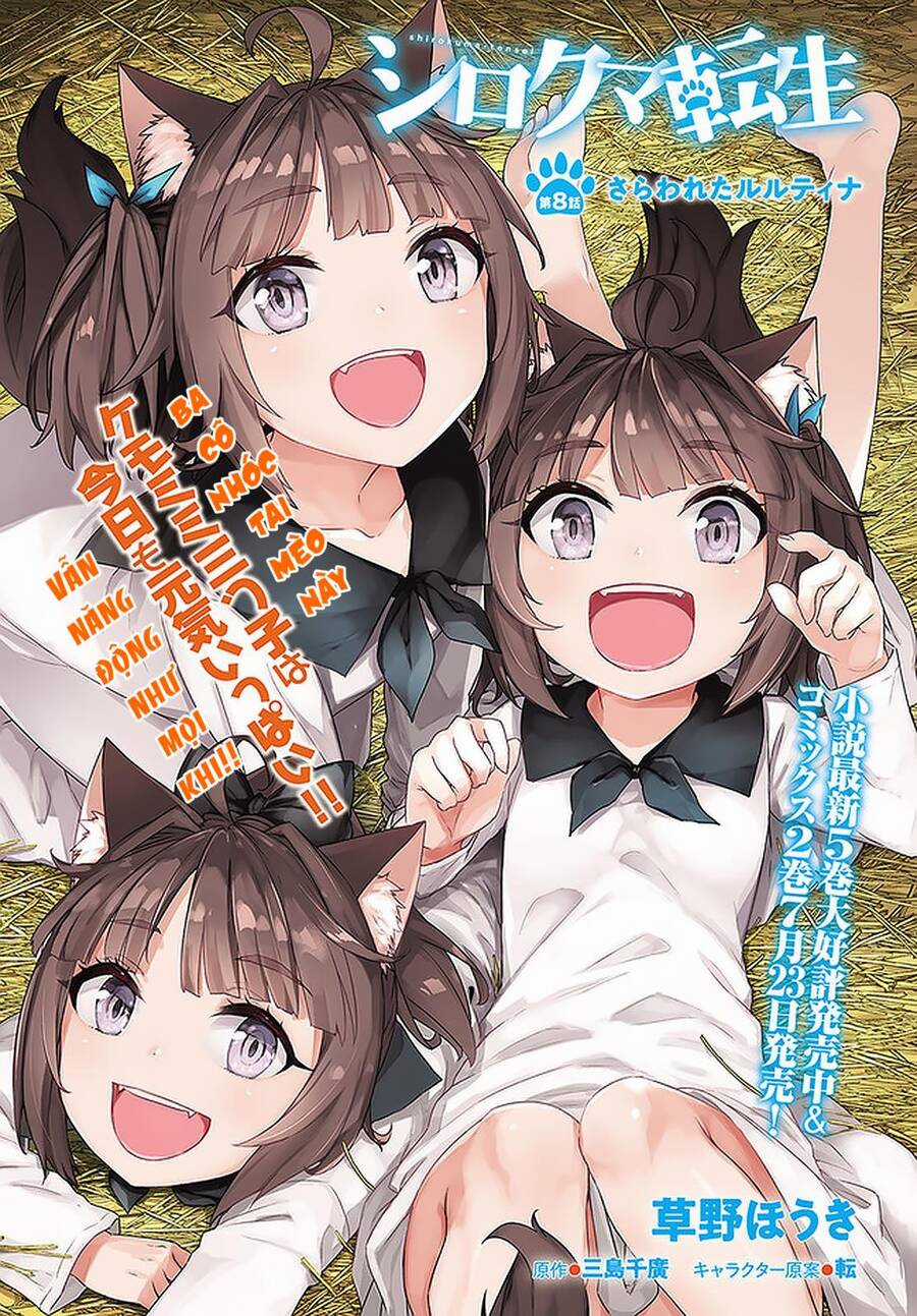 Shirokuma Tensei - Chương 8 - Trang 3