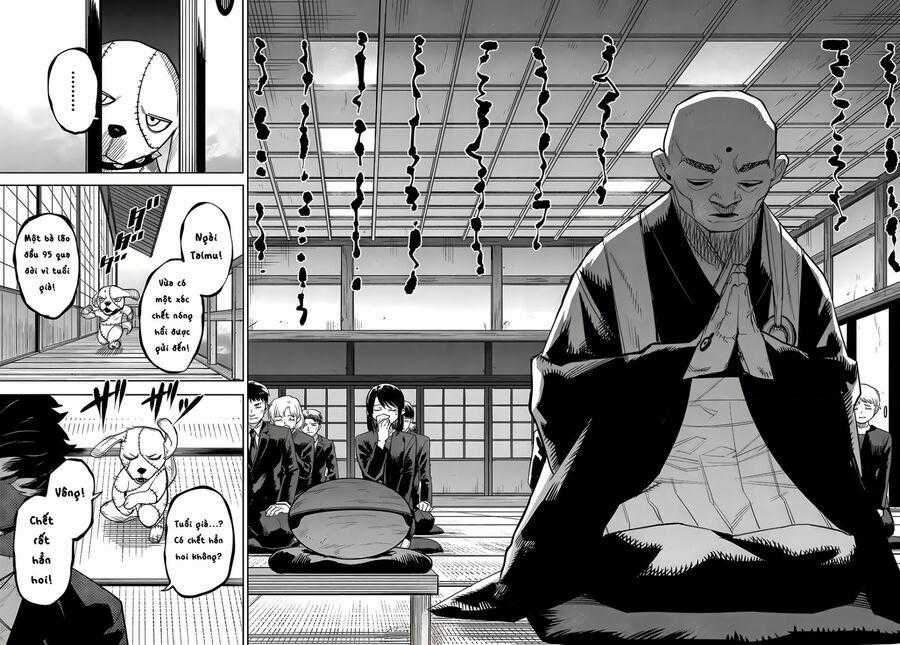 Shy - Chapter 210 - Trang 2