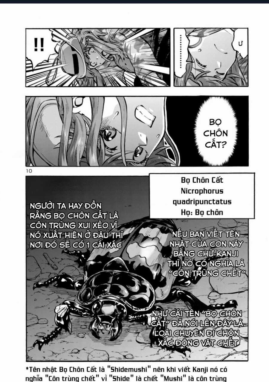 Siêu Đảo Côn Trùng - Chapter 38.5 - Trang 12