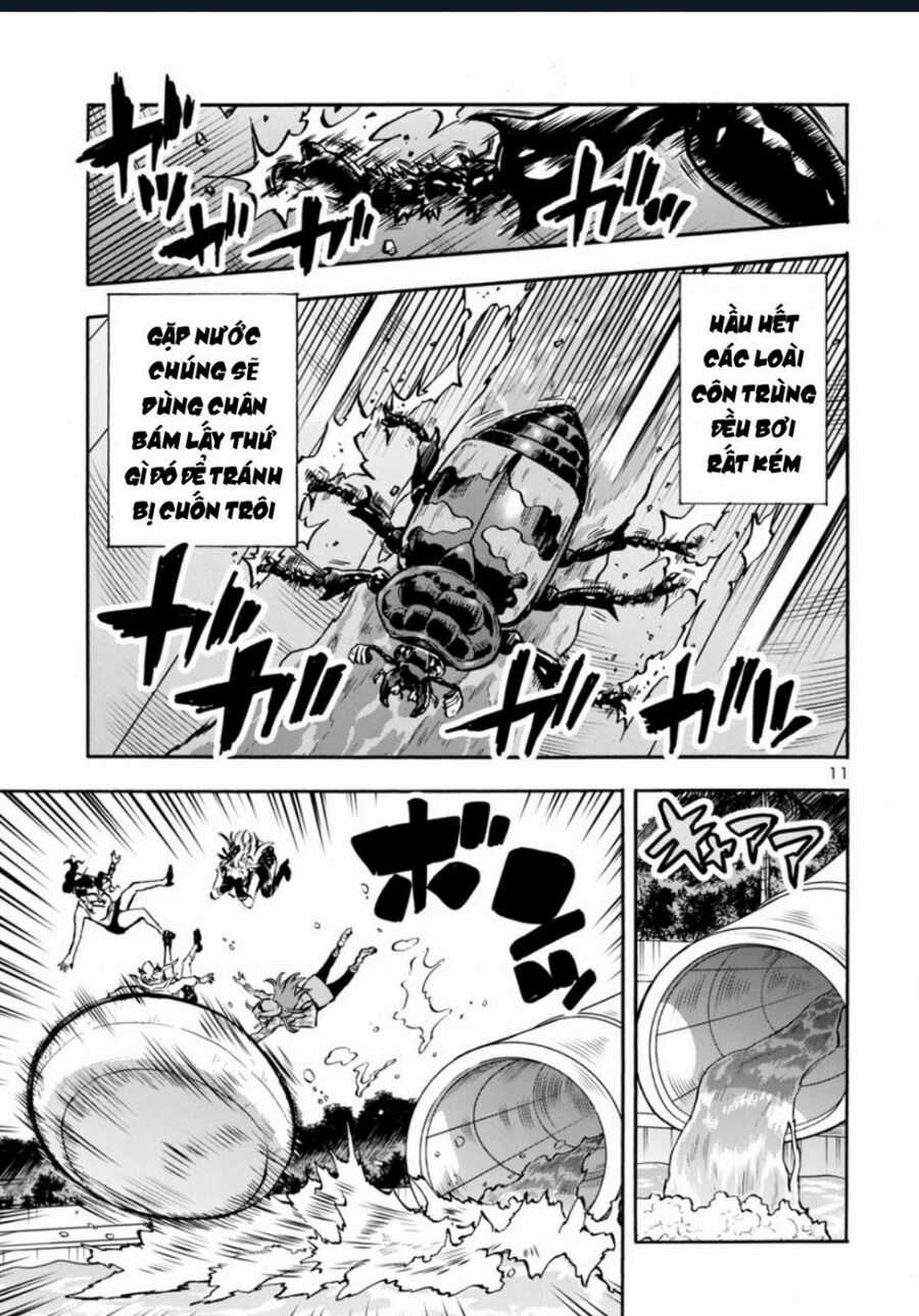 Siêu Đảo Côn Trùng - Chapter 40 - Trang 13