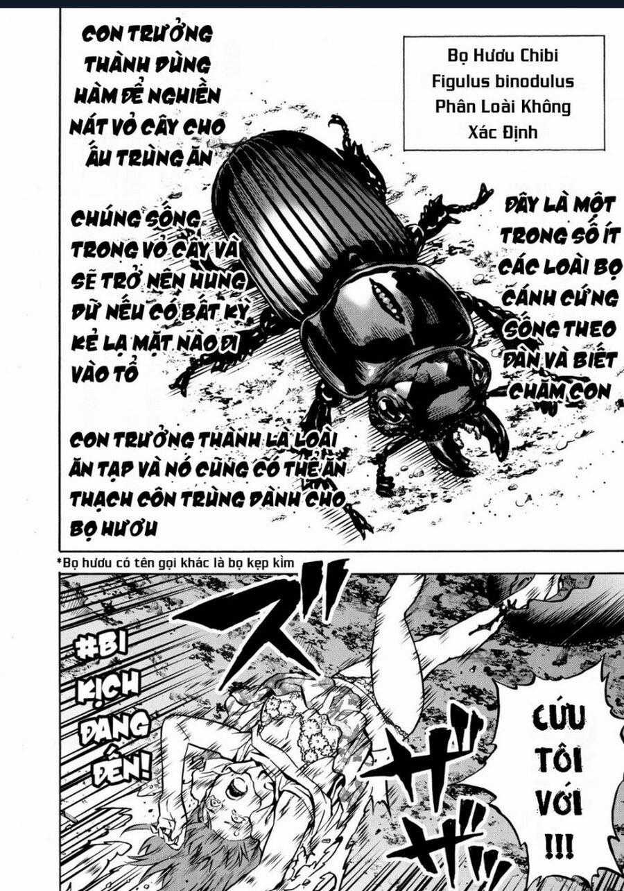 Siêu Đảo Côn Trùng - Chapter 41 - Trang 16