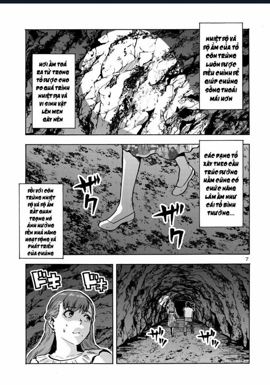 Siêu Đảo Côn Trùng - Chapter 41 - Trang 9