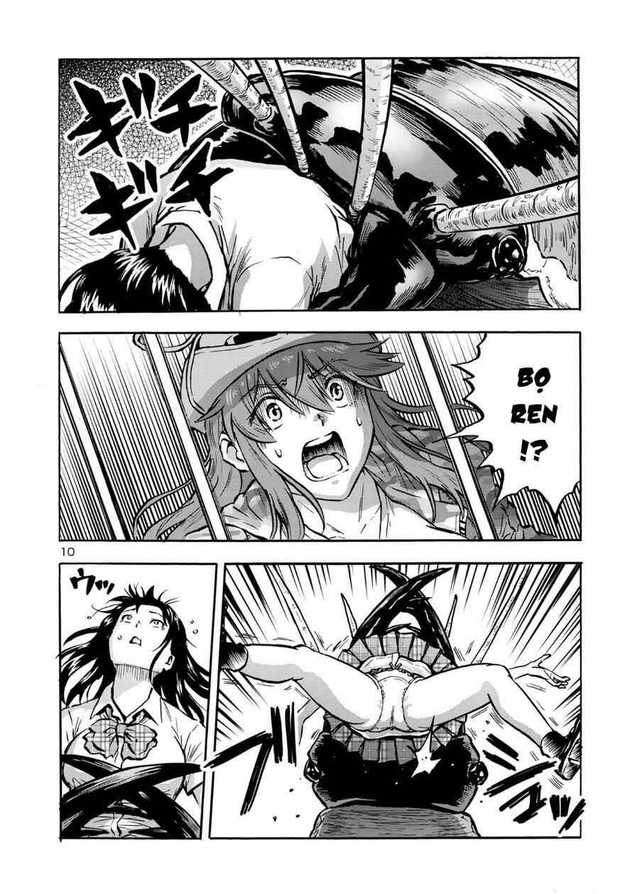 Siêu Đảo Côn Trùng - Chapter 42.5 - Trang 12