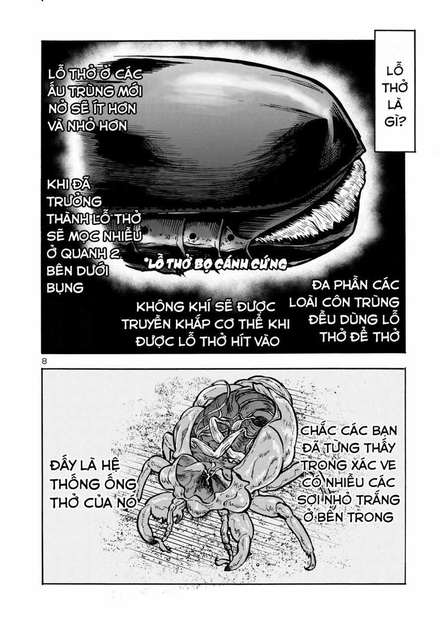 Siêu Đảo Côn Trùng - Chapter 43 - Trang 10