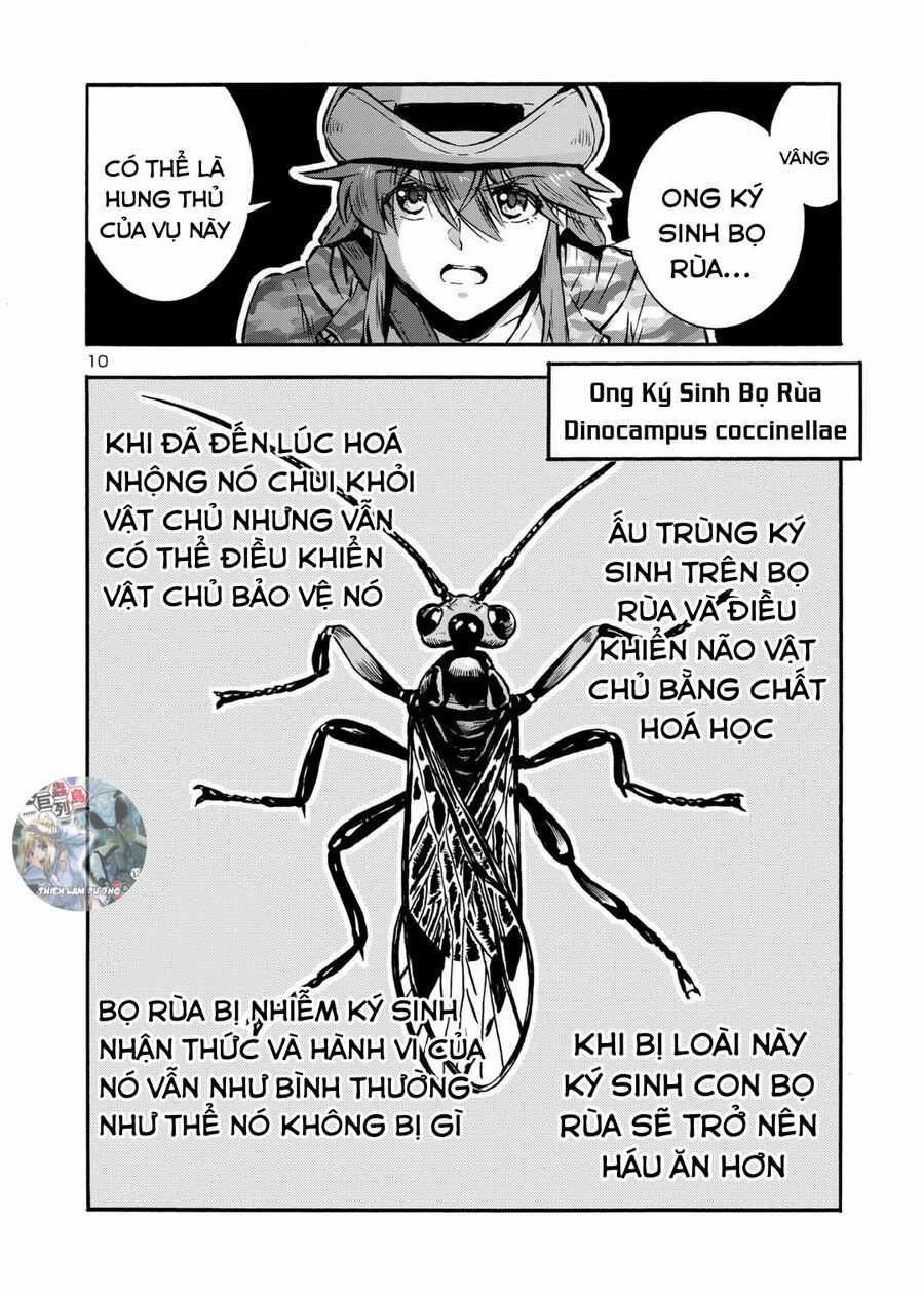 Siêu Đảo Côn Trùng - Chapter 47 - Trang 12